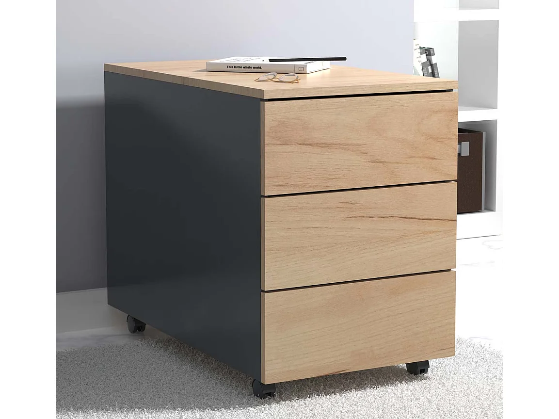 Container de rolagem Dalosa Antracite/carvalho mel 0