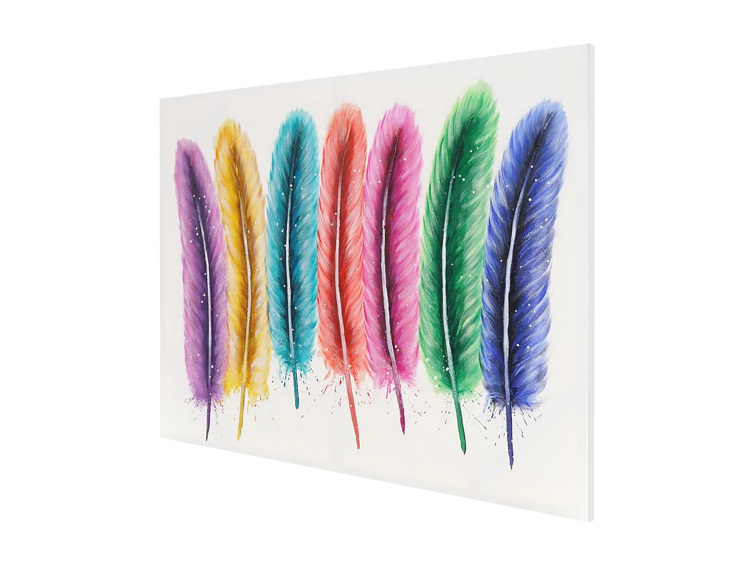 Olieverfschilderij Veren handgeschilderd