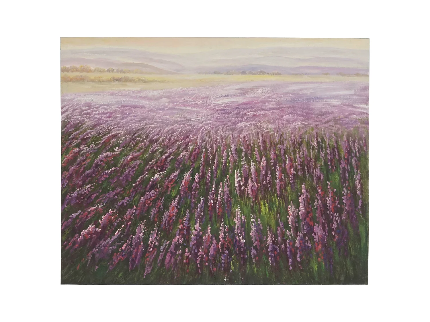Peinture à l'huile Champ de fleurs peinte à la main