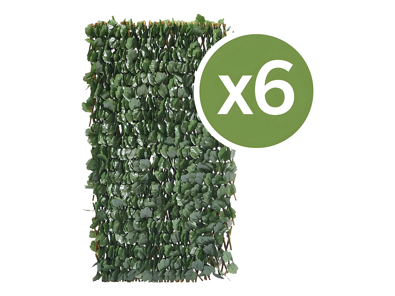 Lot de 6 Clôtures en treillis de saule "Fragon" - 200 x 100 cm - Vert