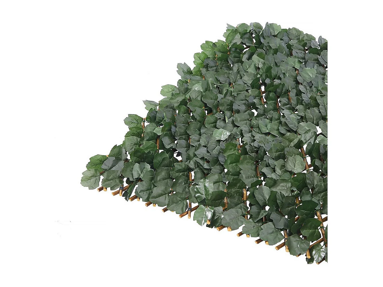 Lot de 6 Clôtures en treillis de saule "Fragon" - 200 x 100 cm - Vert