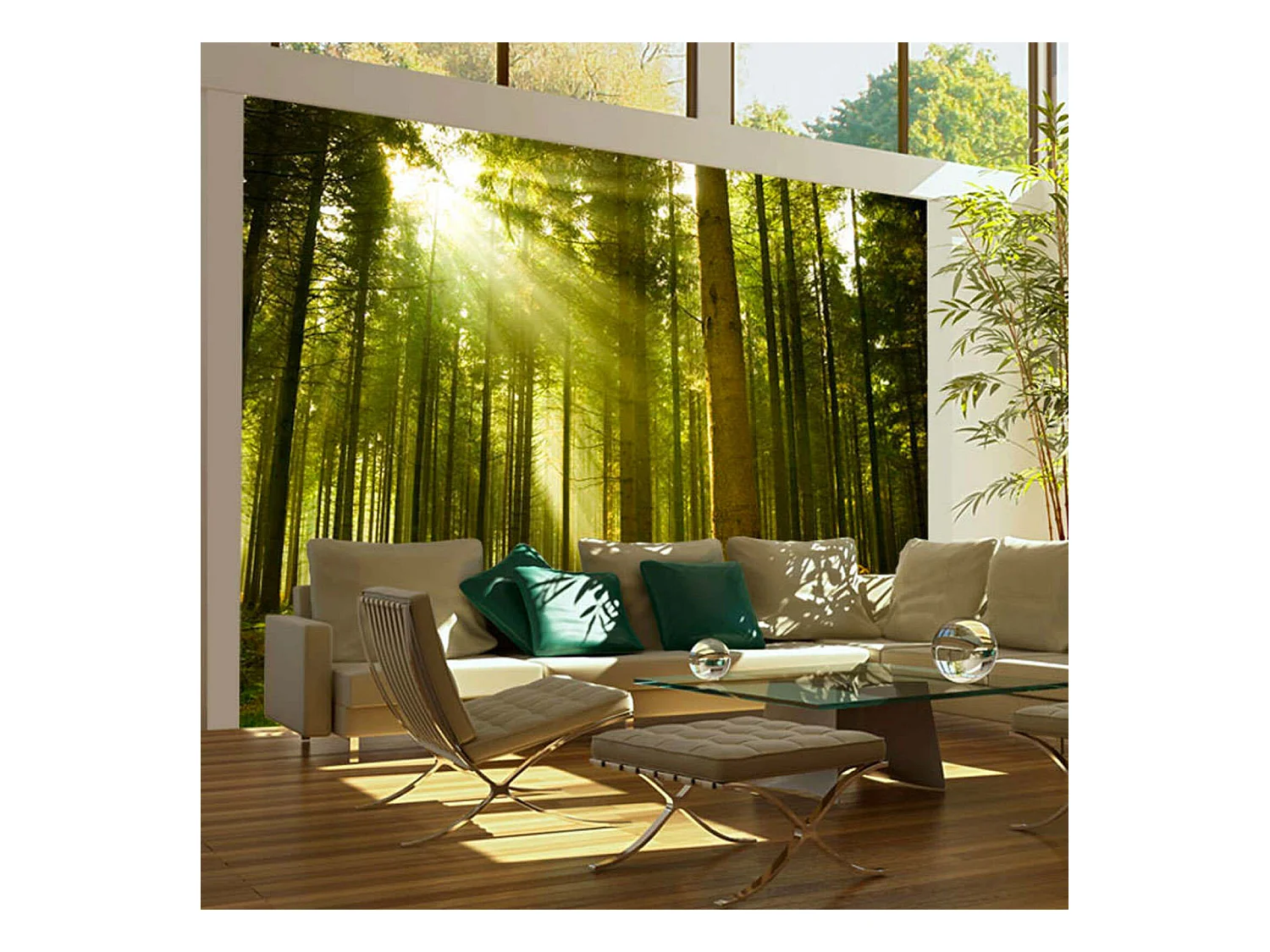 Papier peint forêt de pins - 300 x 230 cm