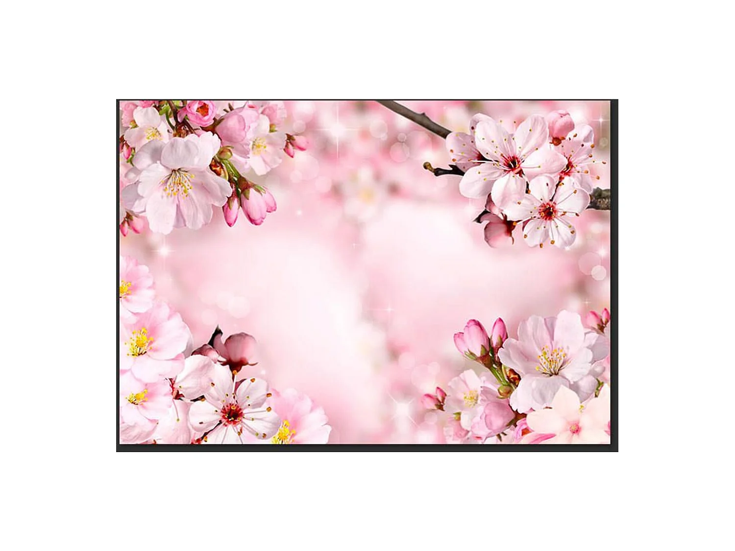 Papier peint fleur de cerisier de printemps - 150 x 105 cm