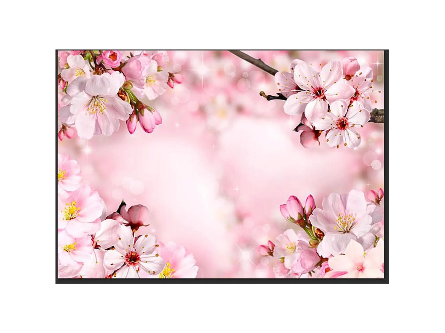 Papier peint fleur de cerisier de printemps - 150 x 105 cm