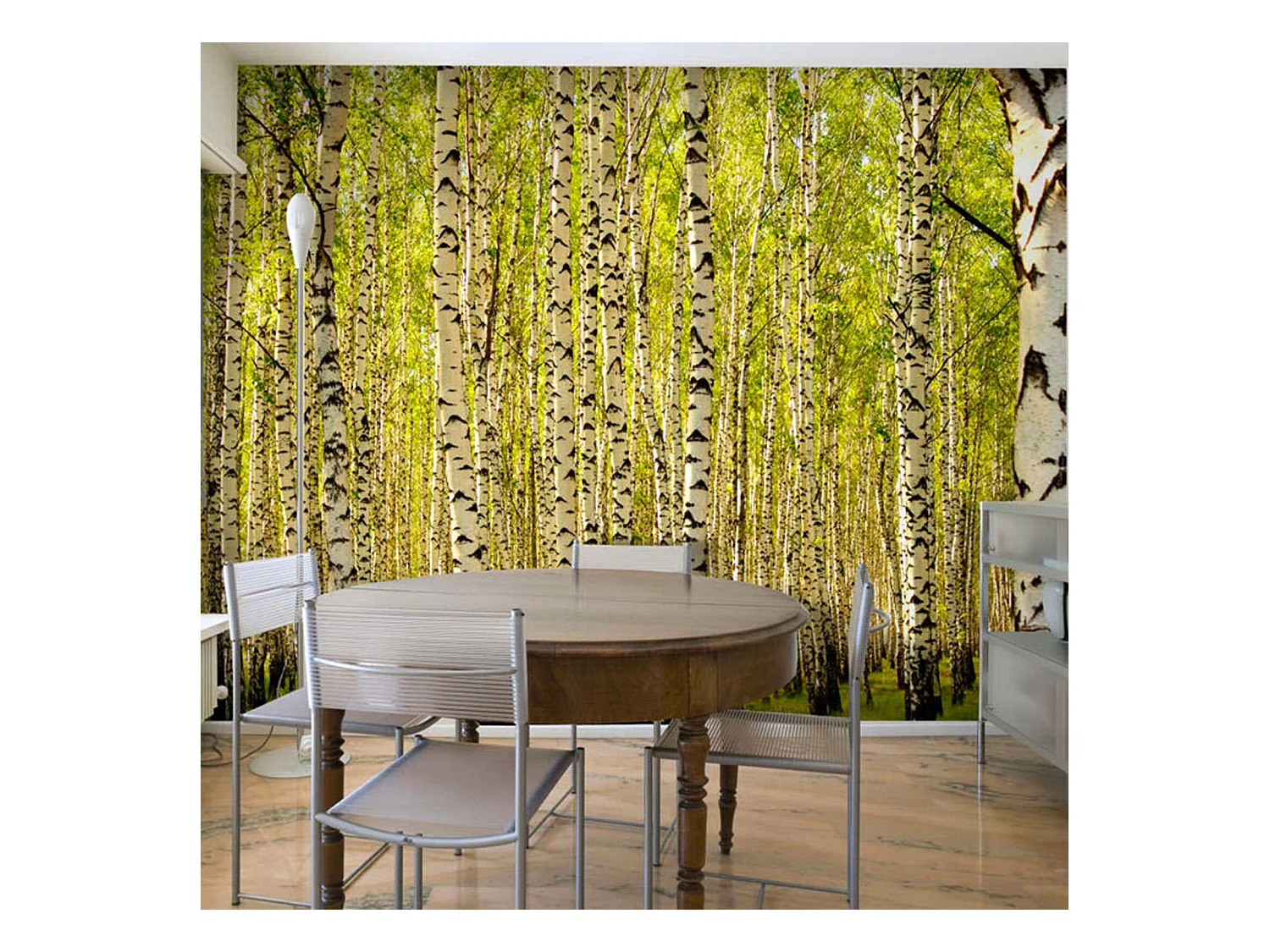 Papier peint forêt de bouleaux - 300 x 230 cm