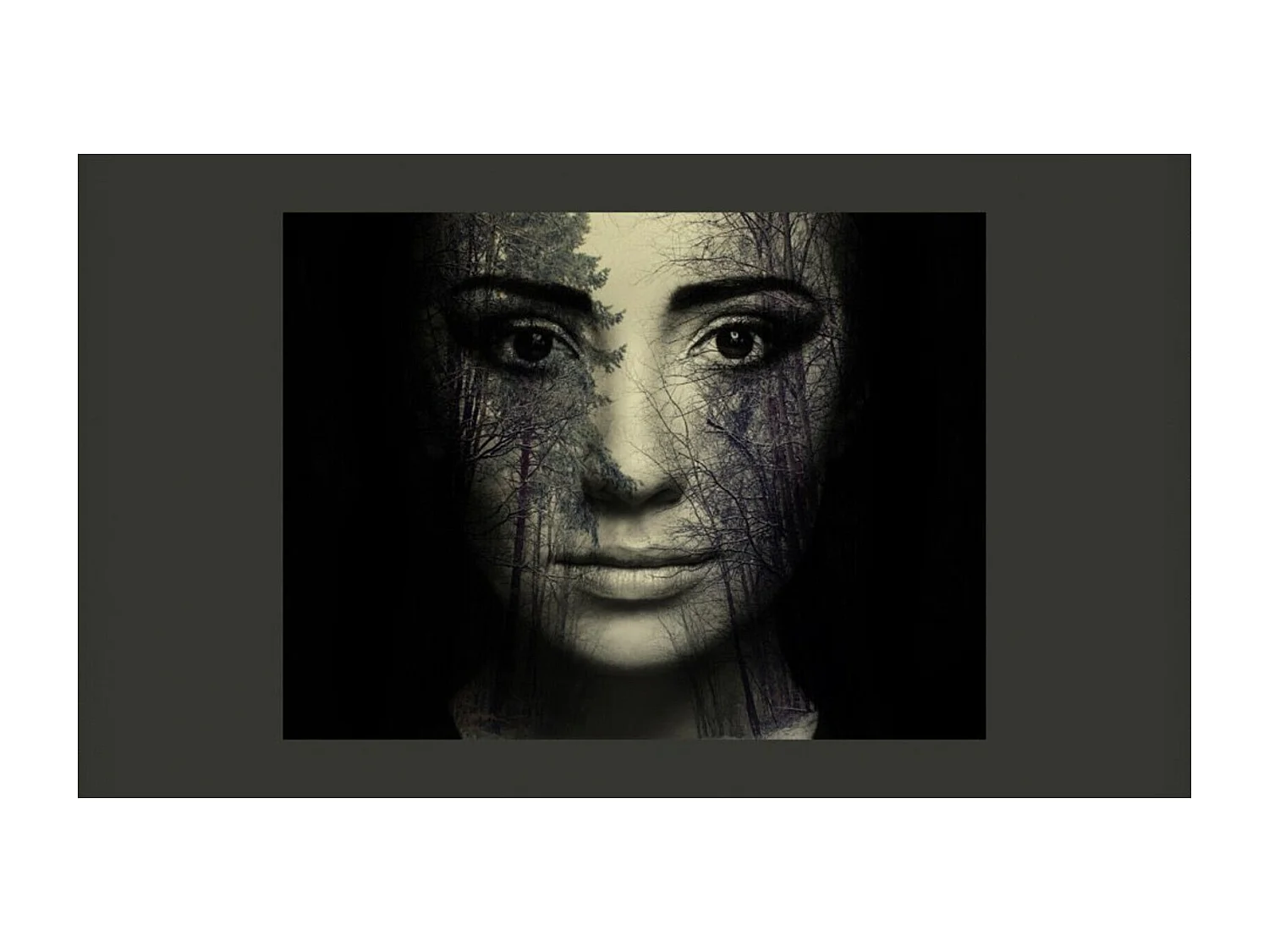 Papier peint masque de forêt - 250 x 193 cm