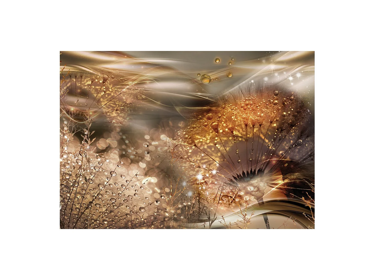 Papier peint monde des pissenlits ou - 400 x 280 cm