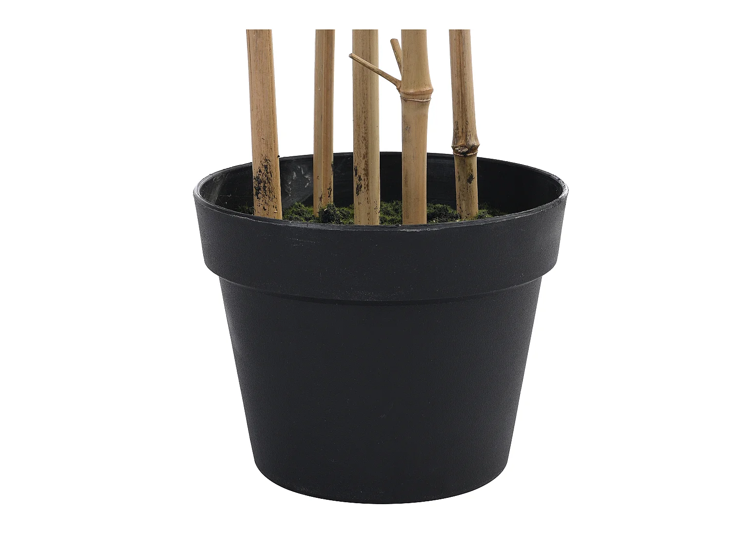 Kunstpflanze Bambus - H. 160 cm - MUCURI