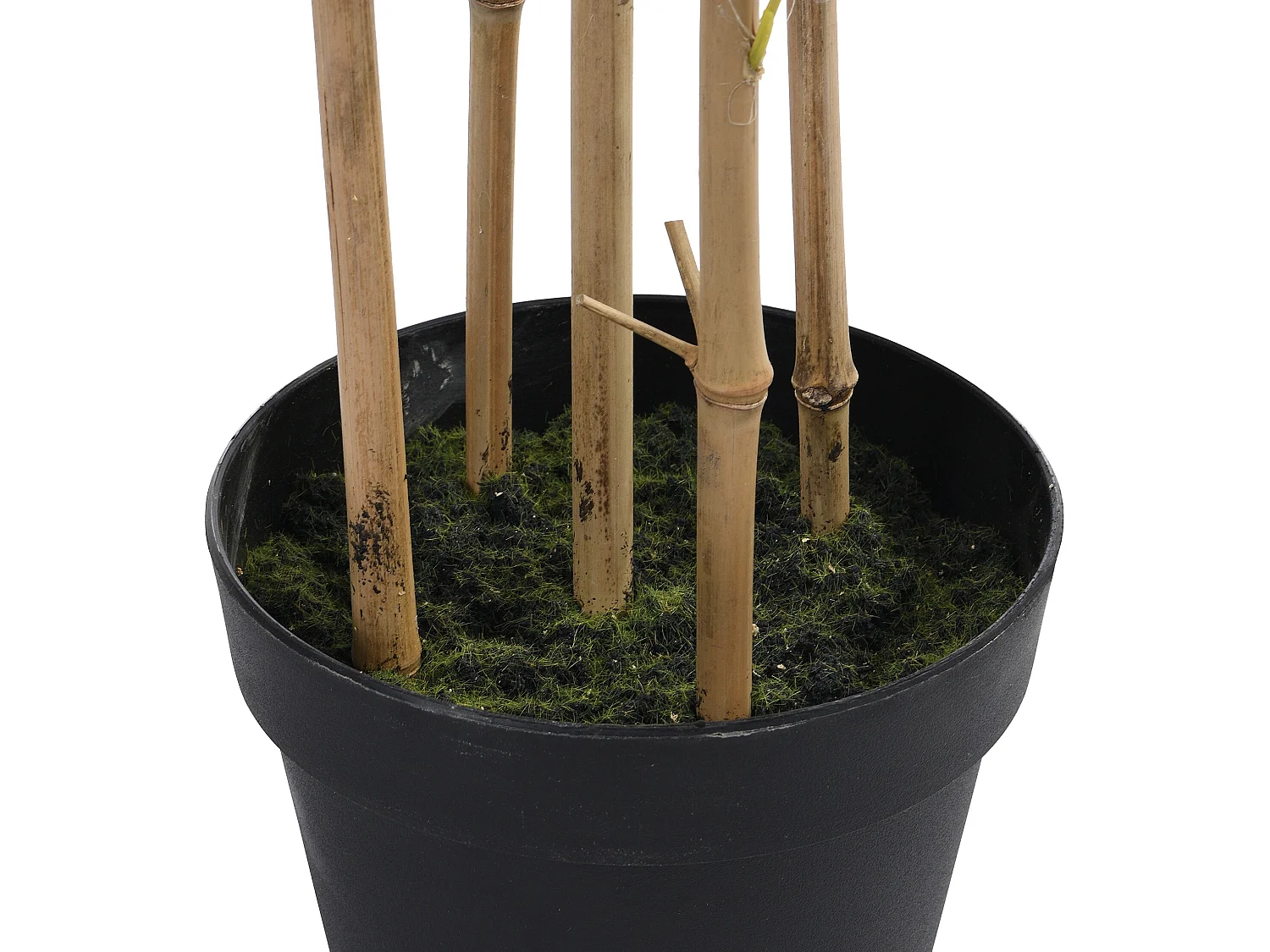 Kunstbamboe met natuurlijke stam - H160 - MUCURI