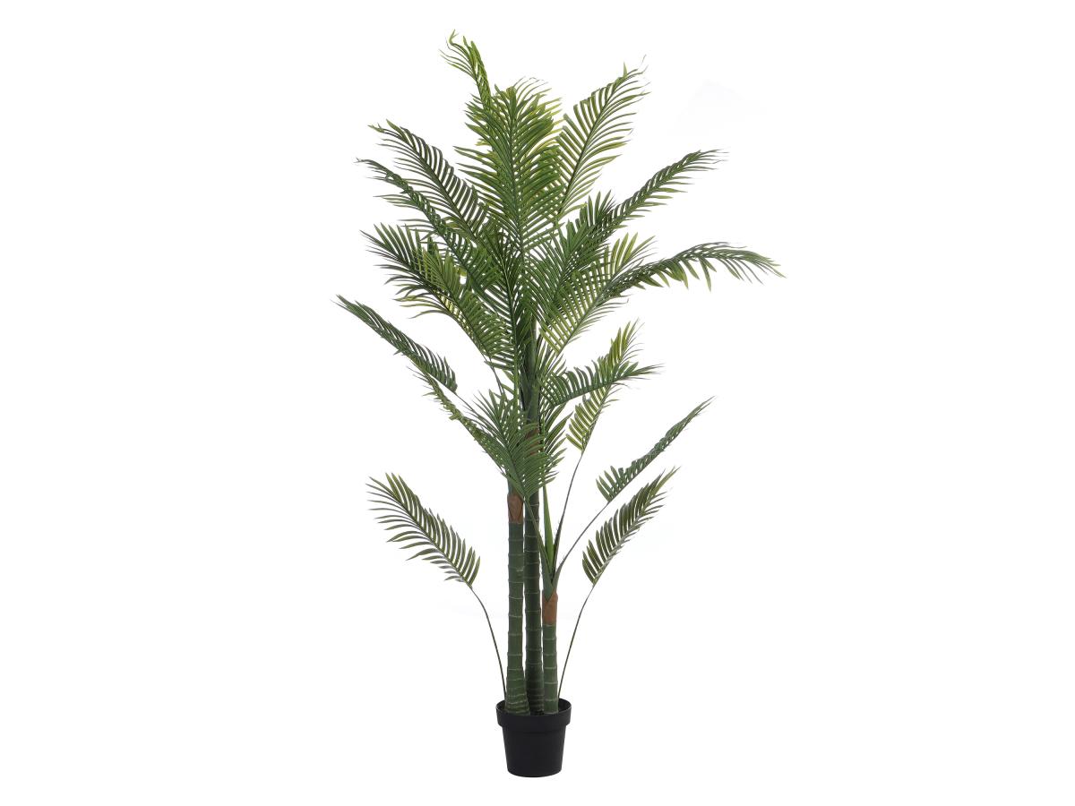 Kunstpflanze Palme mit Topf - H. 190 cm - COCONUT günstig online kaufen
