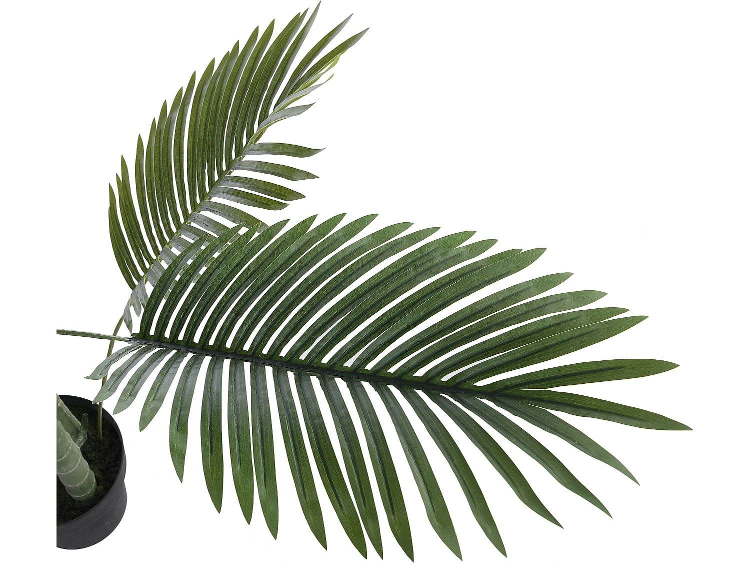 Palmier artificiel avec pot - H.190 - COCONUT