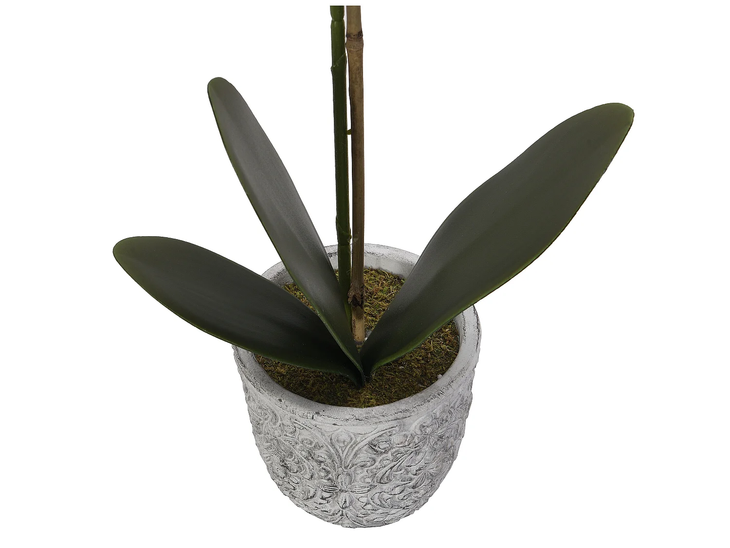 Pianta artificiale orchidea H.60 con vaso in Cemento Bianco - FLORA