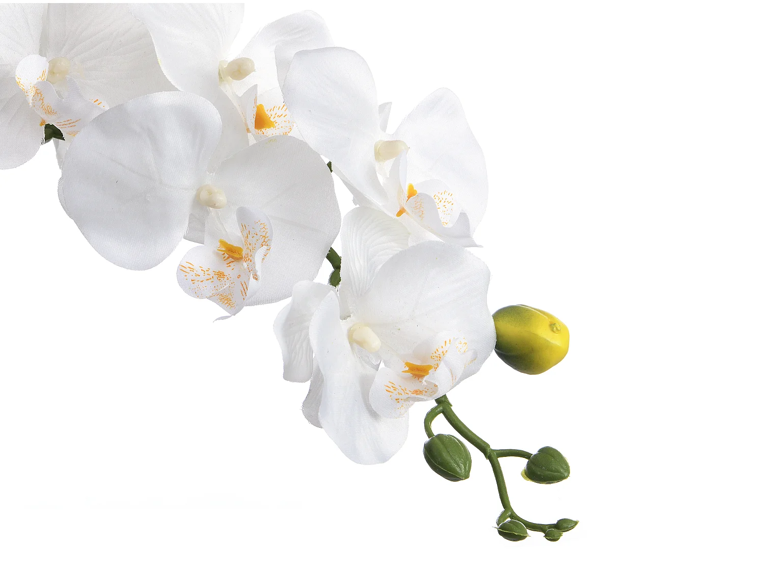 Pianta artificiale orchidea H.60 con vaso in Cemento Bianco - FLORA