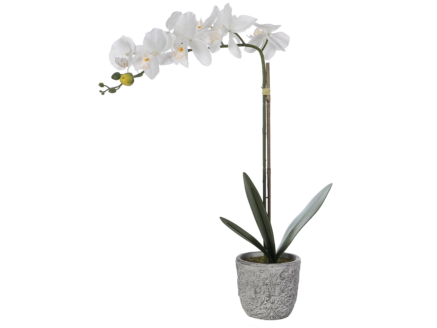 Pianta artificiale orchidea H.60 con vaso in Cemento Bianco - FLORA