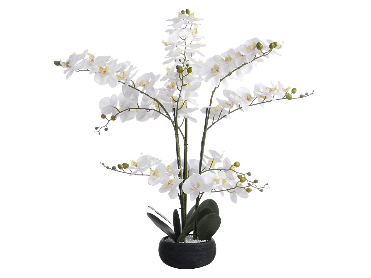 Kunstpflanze Orchidee mit Zementtopf - 65 x 54 cm- Weiß -TARA günstig online kaufen