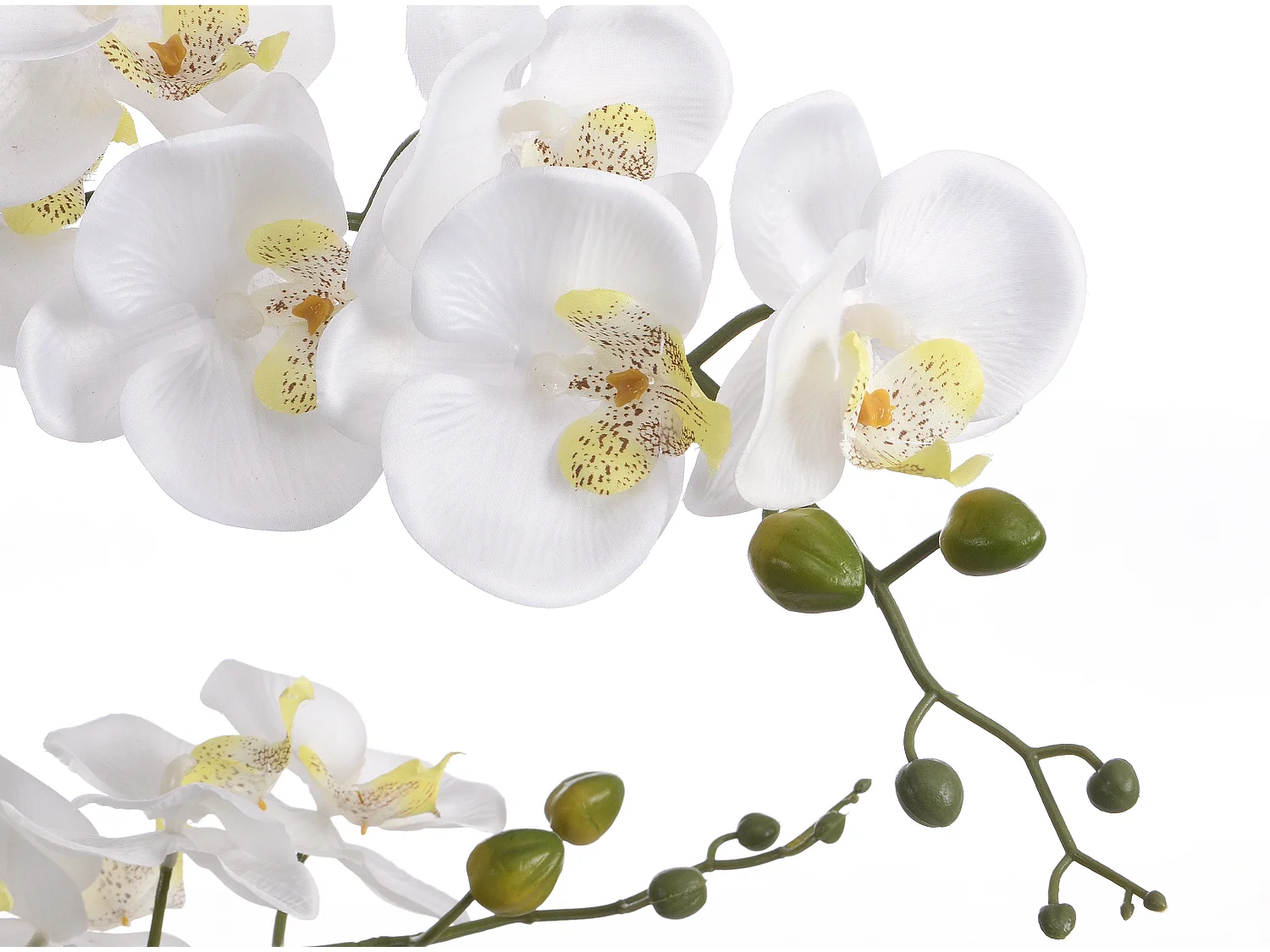 Kunstpflanze Orchidee mit Zementtopf - 65 x 54 cm- Weiß -TARA