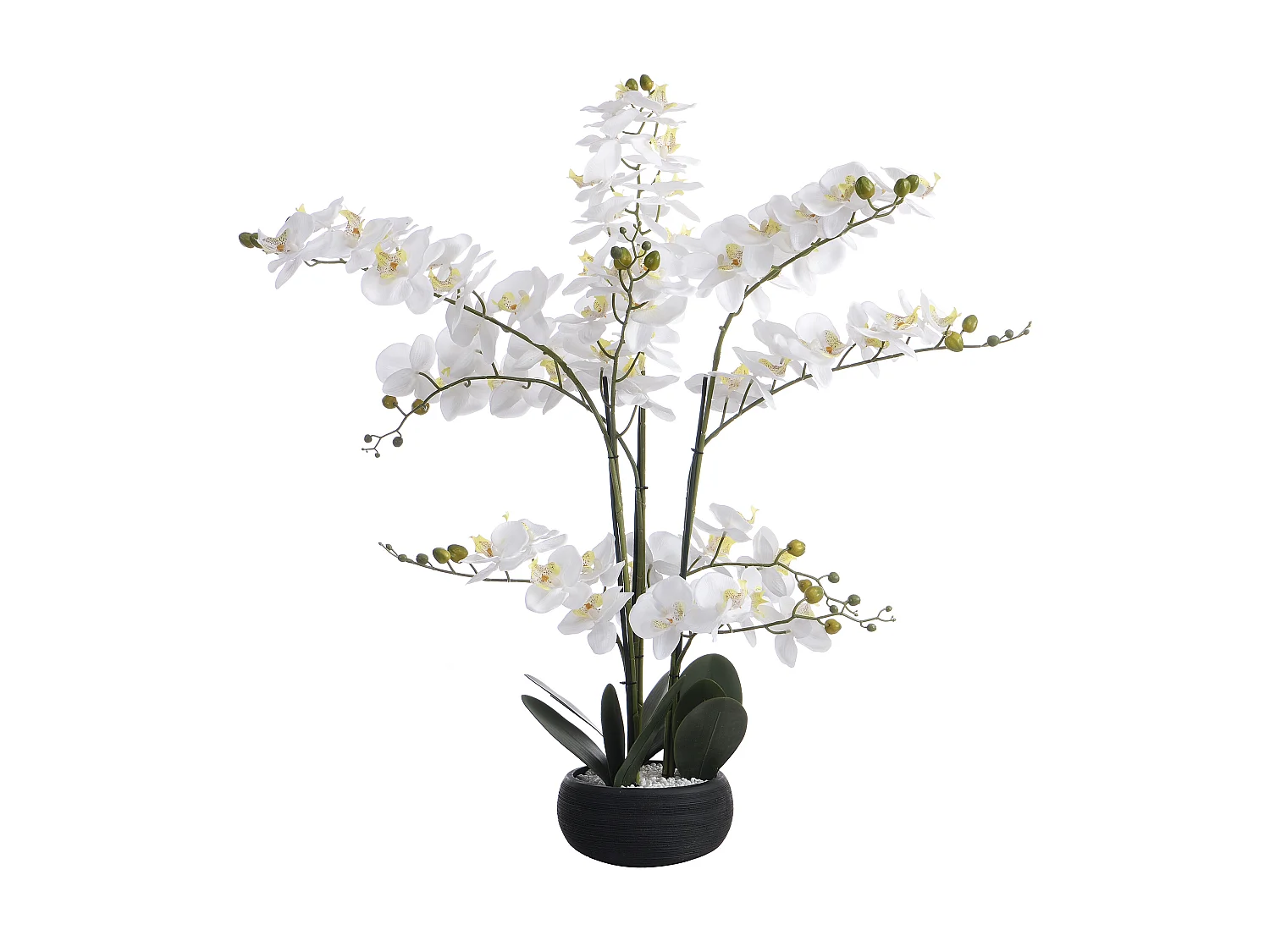 Kunstpflanze Orchidee mit Zementtopf - 65 x 54 cm- Weiß -TARA