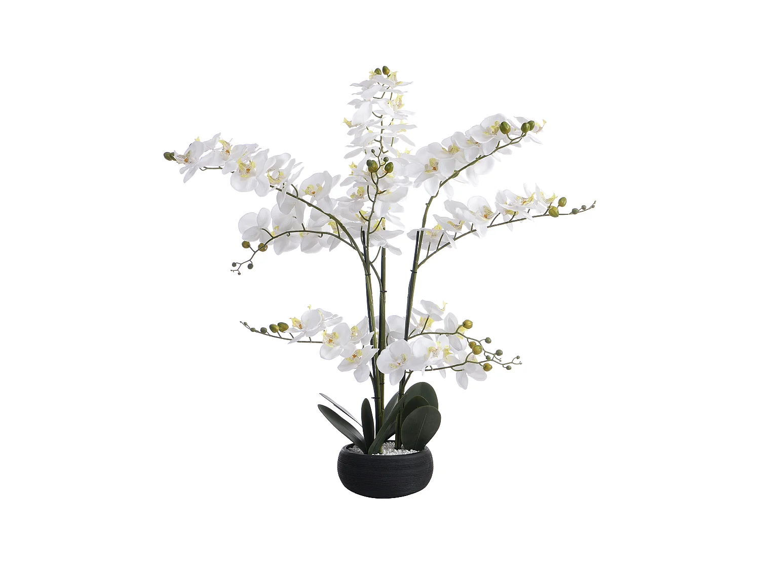 Plante artificielle orchidée avec pot en ciment - H.65 x L.54 cm-  Blanc -TARA