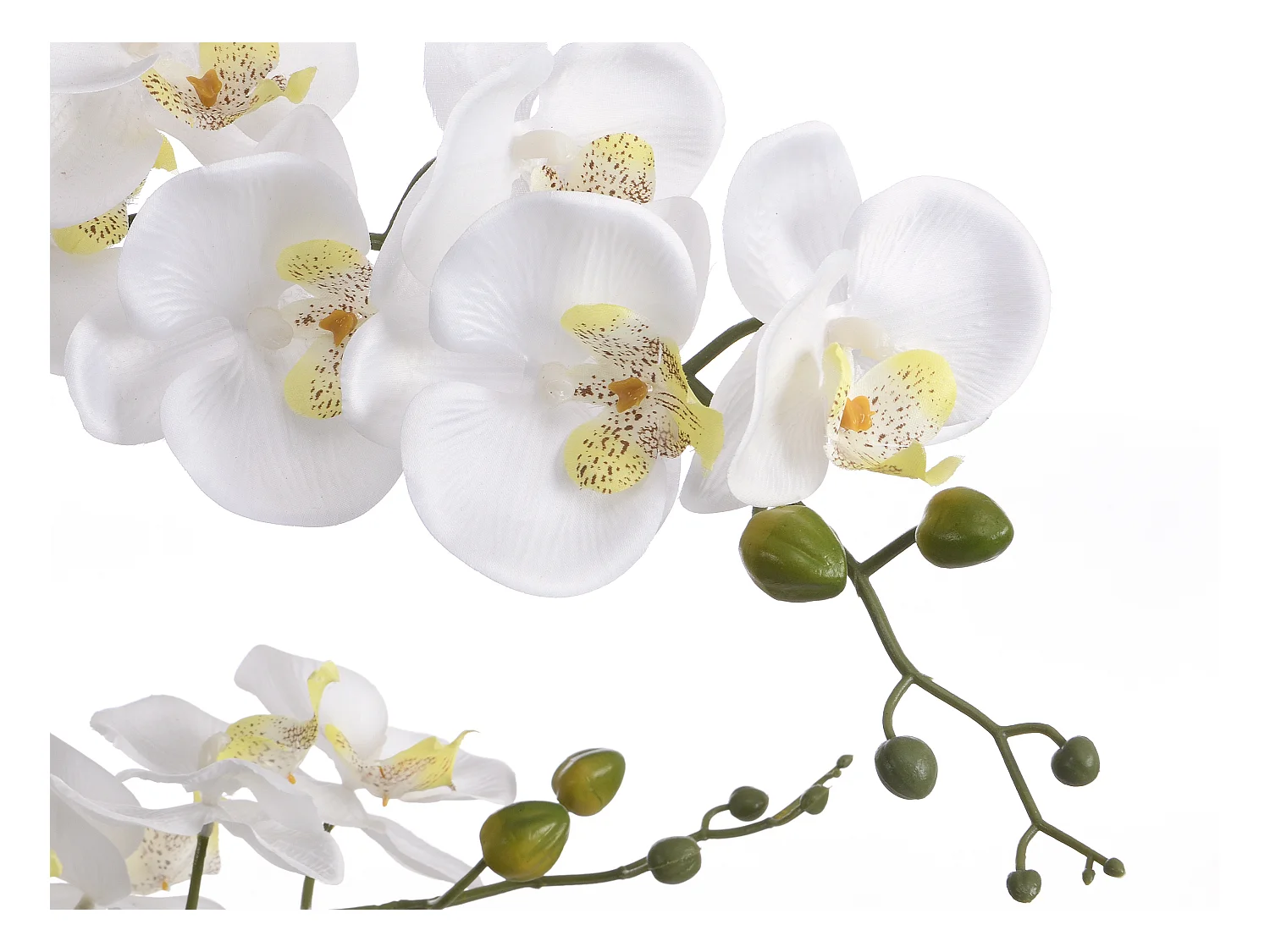 Plante artificielle orchidée avec pot en ciment - H.65 x L.54 cm-  Blanc -TARA