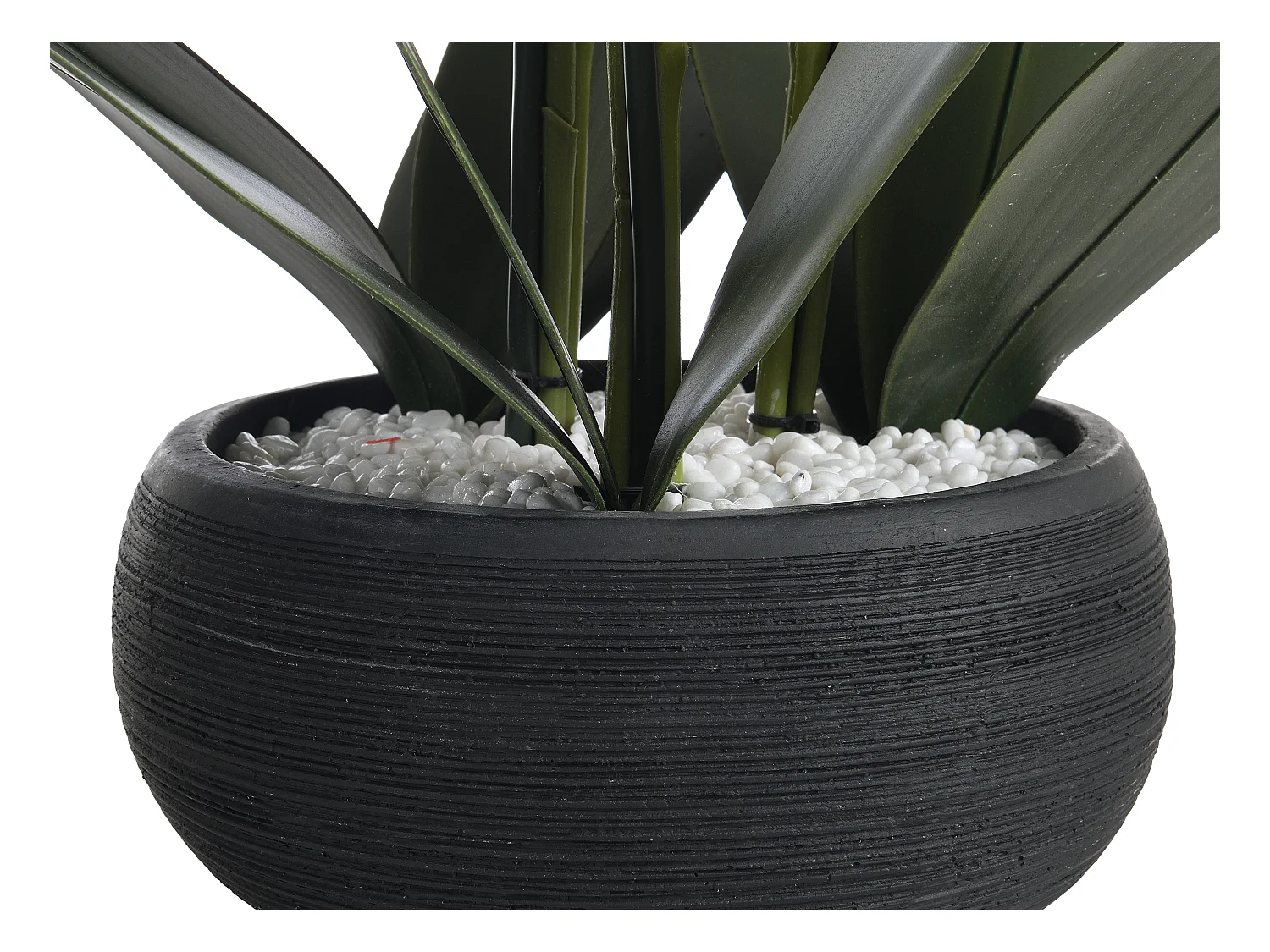 Plante artificielle orchidée avec pot en ciment - H.65 x L.54 cm-  Blanc -TARA