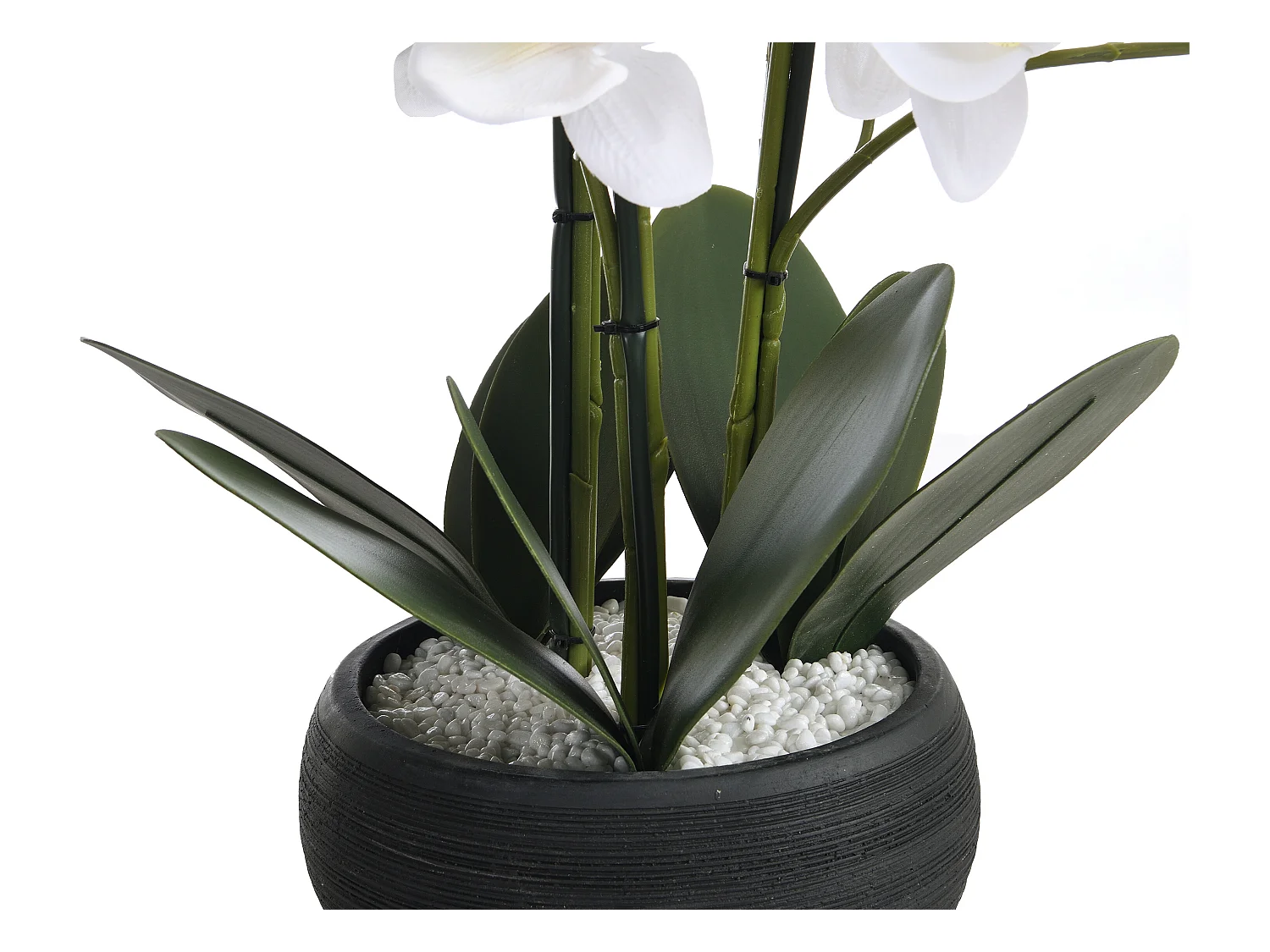 Plante artificielle orchidée avec pot en ciment - H.65 x L.54 cm-  Blanc -TARA