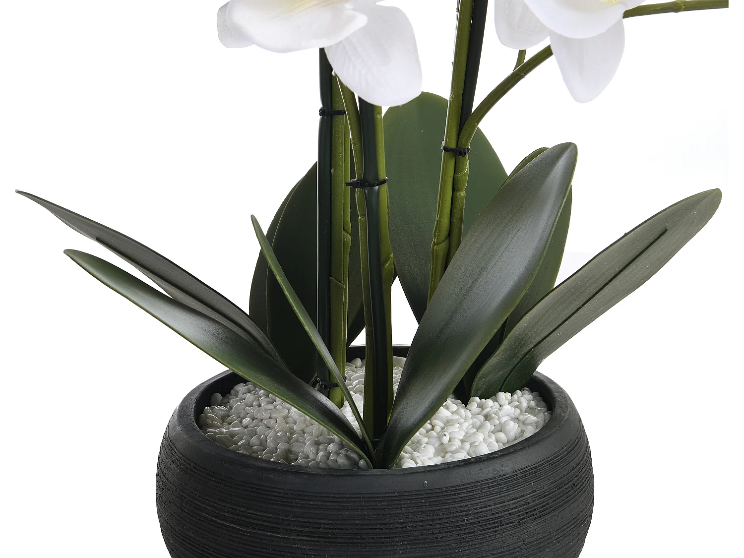 Plante artificielle orchidée avec pot en ciment - H.65 x L.54 cm-  Blanc -TARA