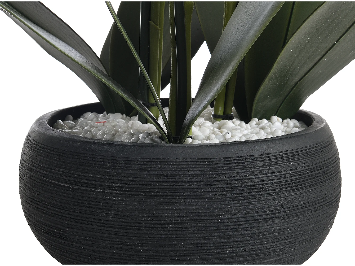 Plante artificielle orchidée avec pot en ciment - H.65 x L.54 cm-  Blanc -TARA