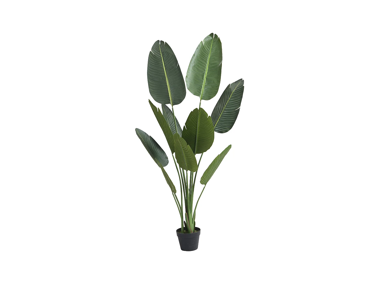 Sztuczny bananowiec z donicą - Wys.160 - NENDAZ