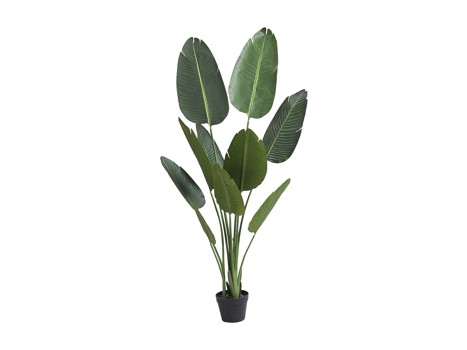 Kunstpflanze Bananenbaum mit Topf - 160 cm - Grün - NENDAZ günstig online kaufen