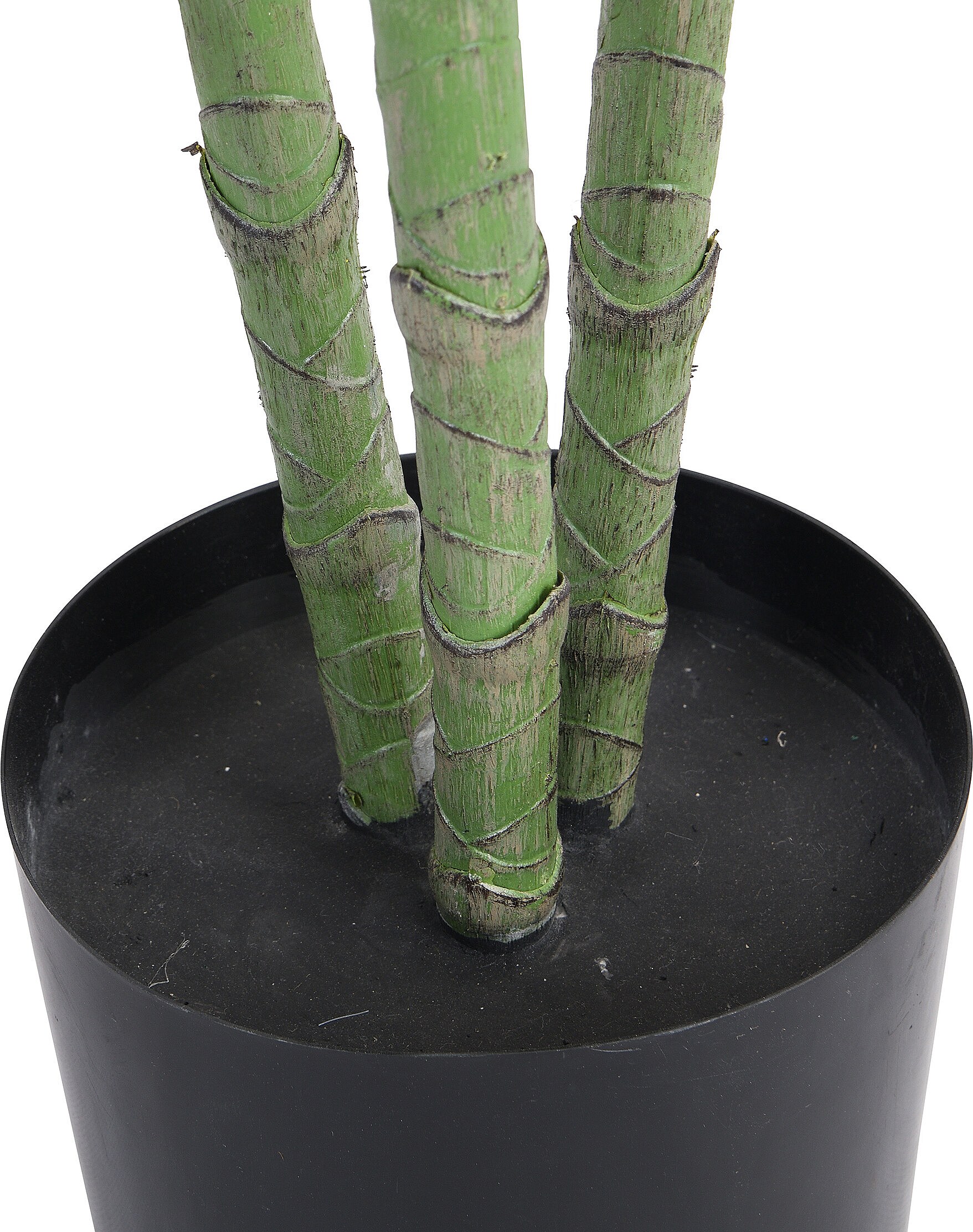 Nearly Natural Albero Bonsai Di Cedro Artificiale | Alto 38 Cm, In Vaso Decorativo | 115 Foglie, Per Casa E Ufficio, Zero Manutenzione