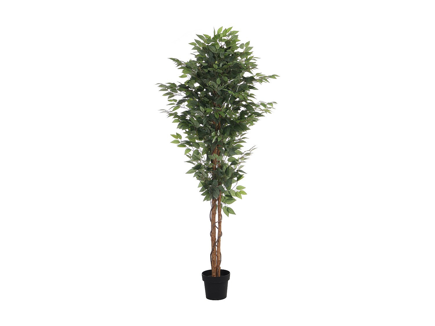 Kunstpflanze Ficus mit Topf - 180 cm - VALOPA günstig online kaufen