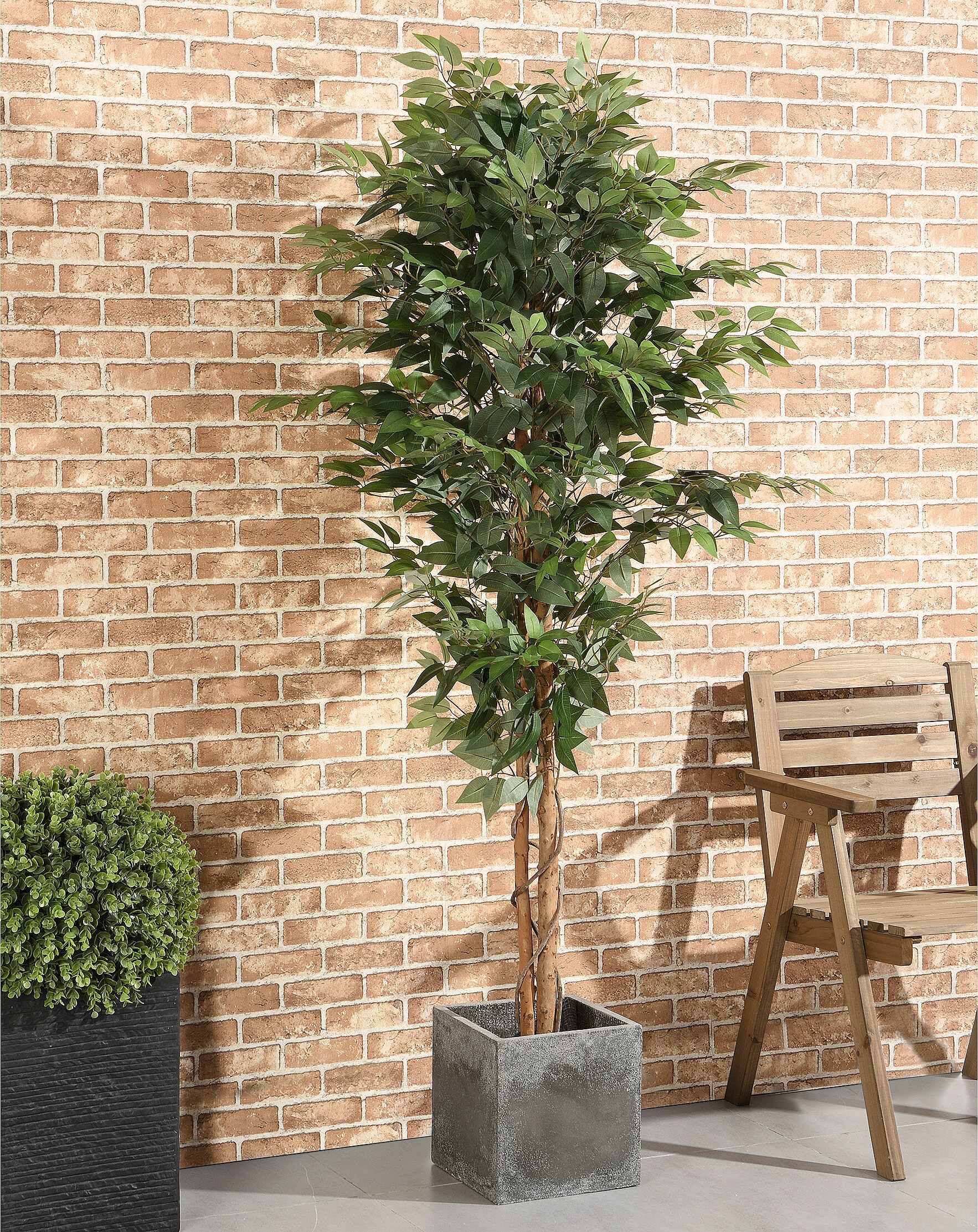 Mica decorations Ficus Hawaii in plastic pot artificial plant