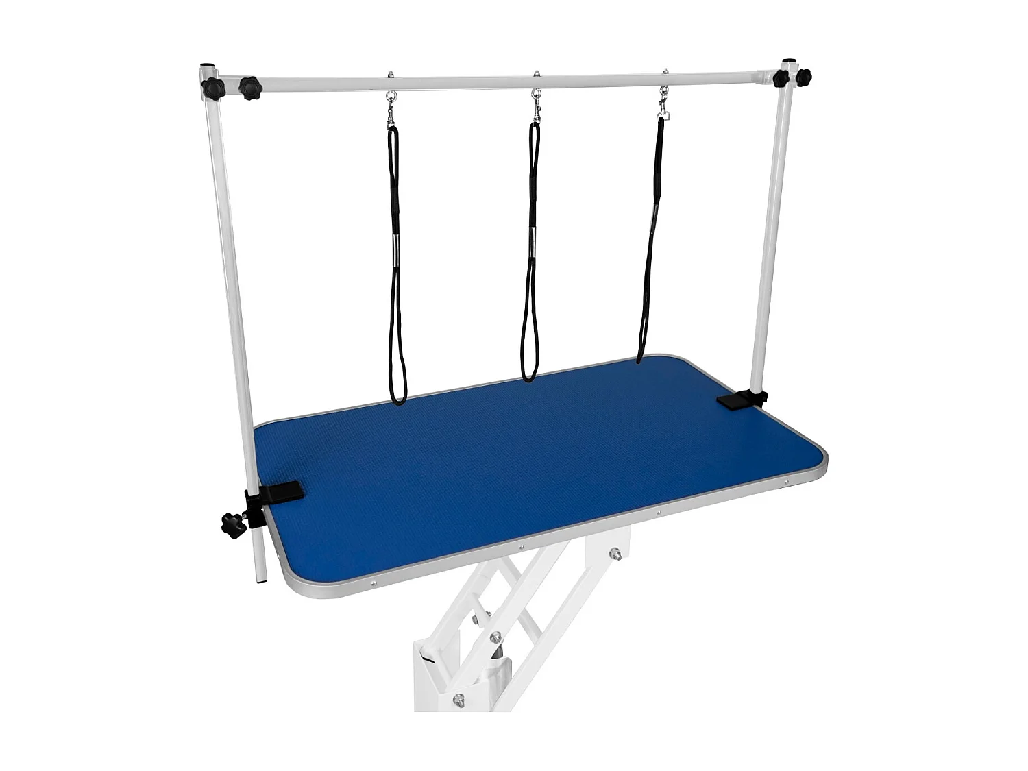 Table Blanche de Toilettage Hydraulique avec Plateau Bleu