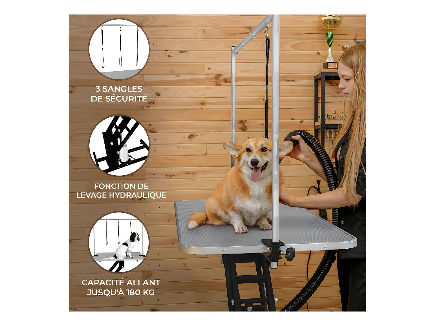 Table Noire de Toilettage Hydraulique avec Plateau Gris