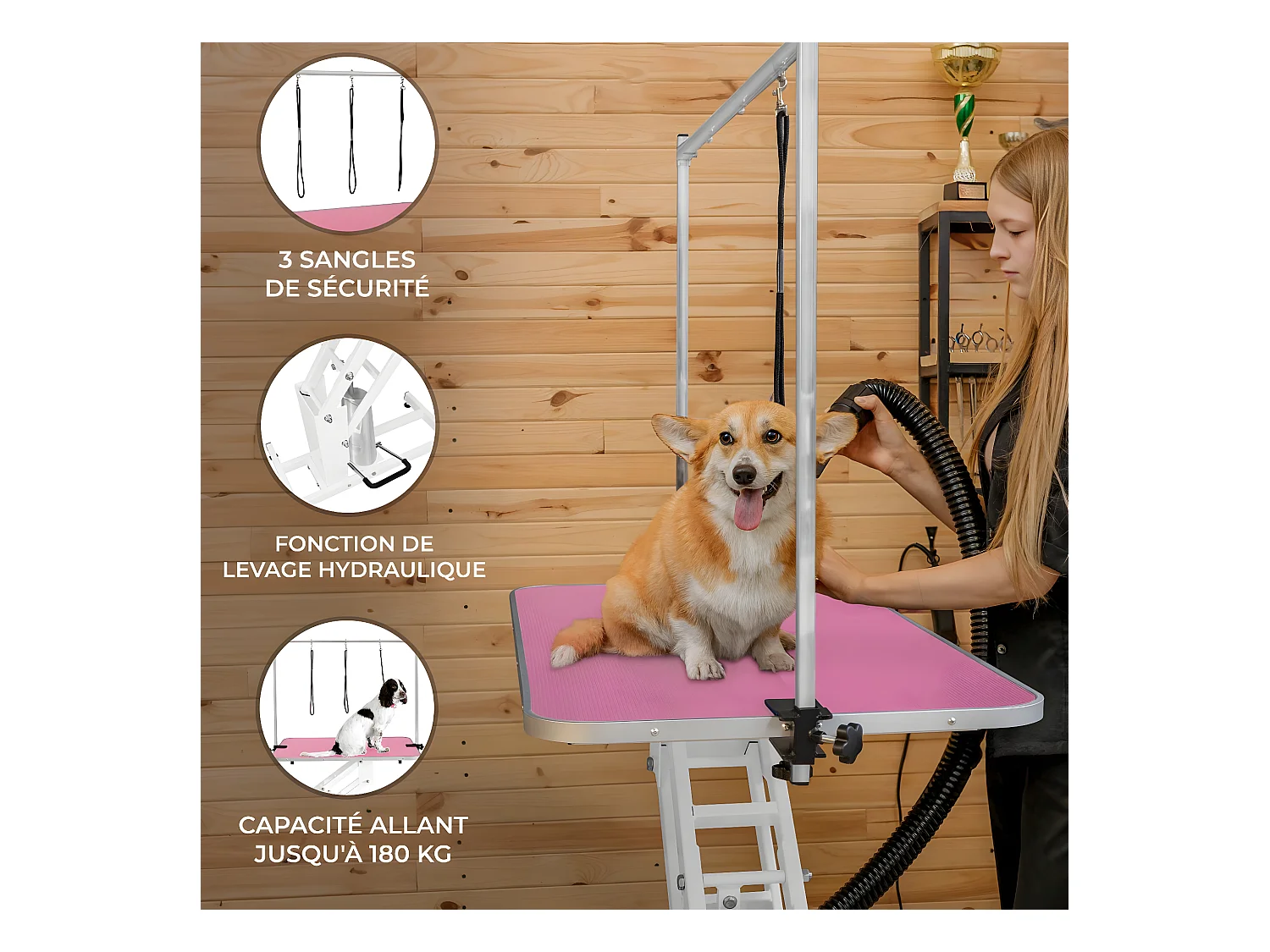 Table Blanche de Toilettage Hydraulique avec Plateau Rose