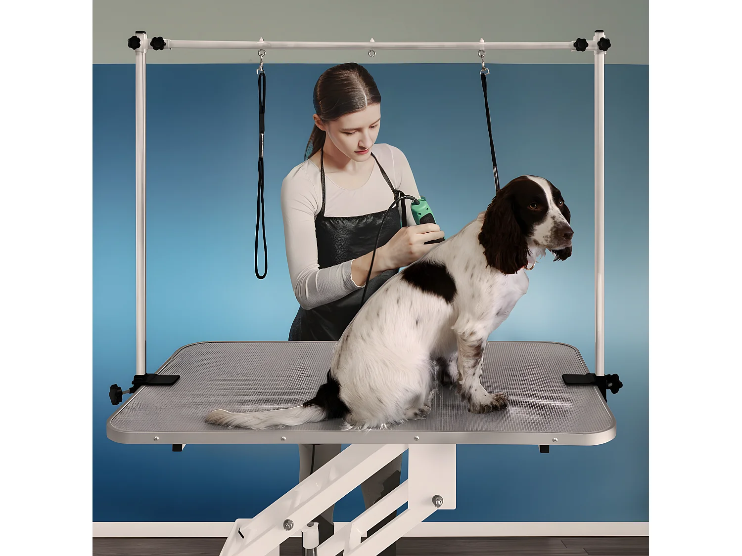 Table Blanche de Toilettage Hydraulique avec Plateau Gris