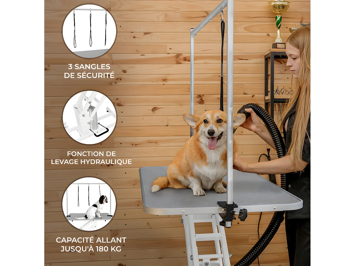 Table Blanche de Toilettage Hydraulique avec Plateau Gris
