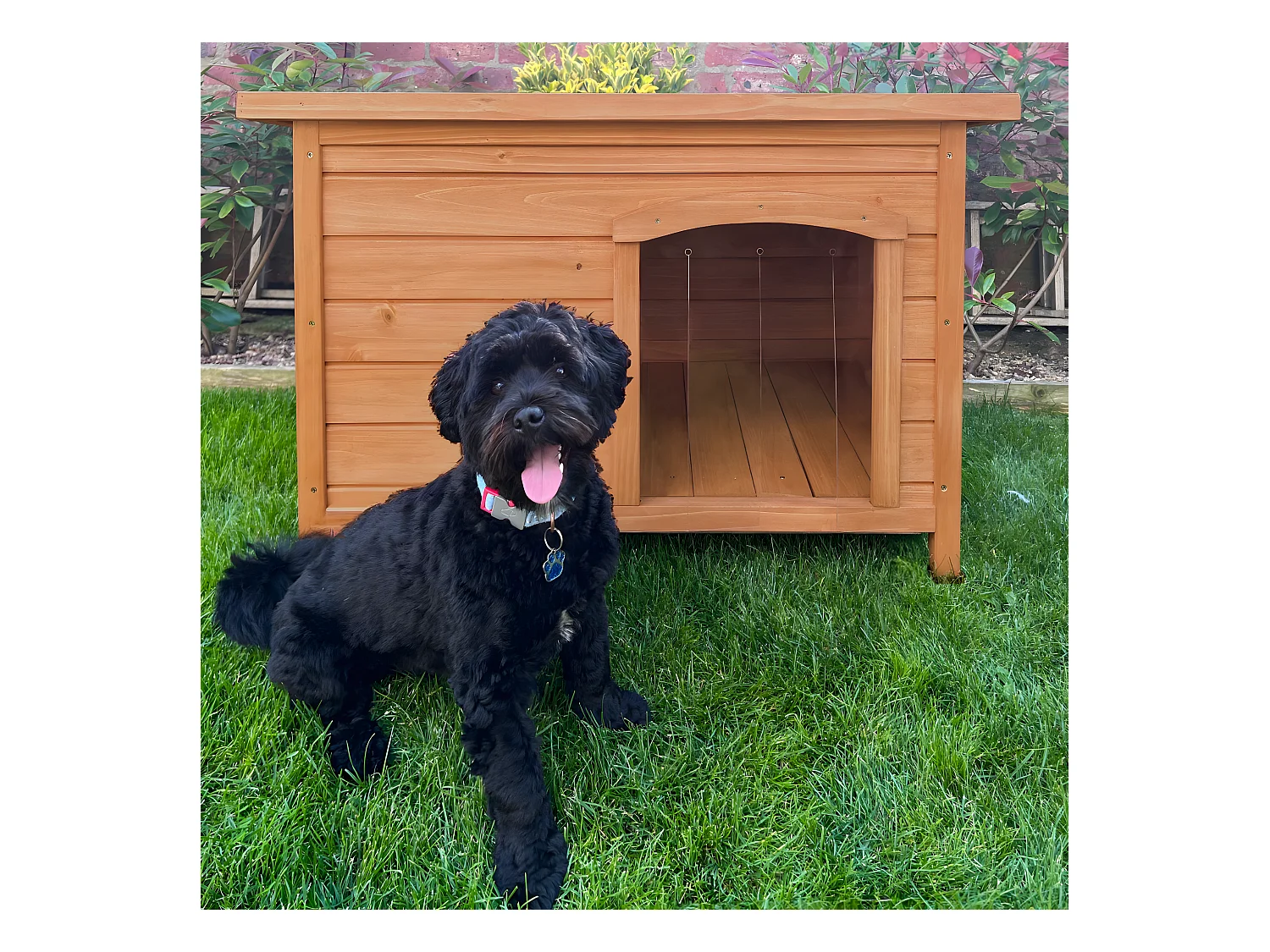 Niche pour chien de petite taille