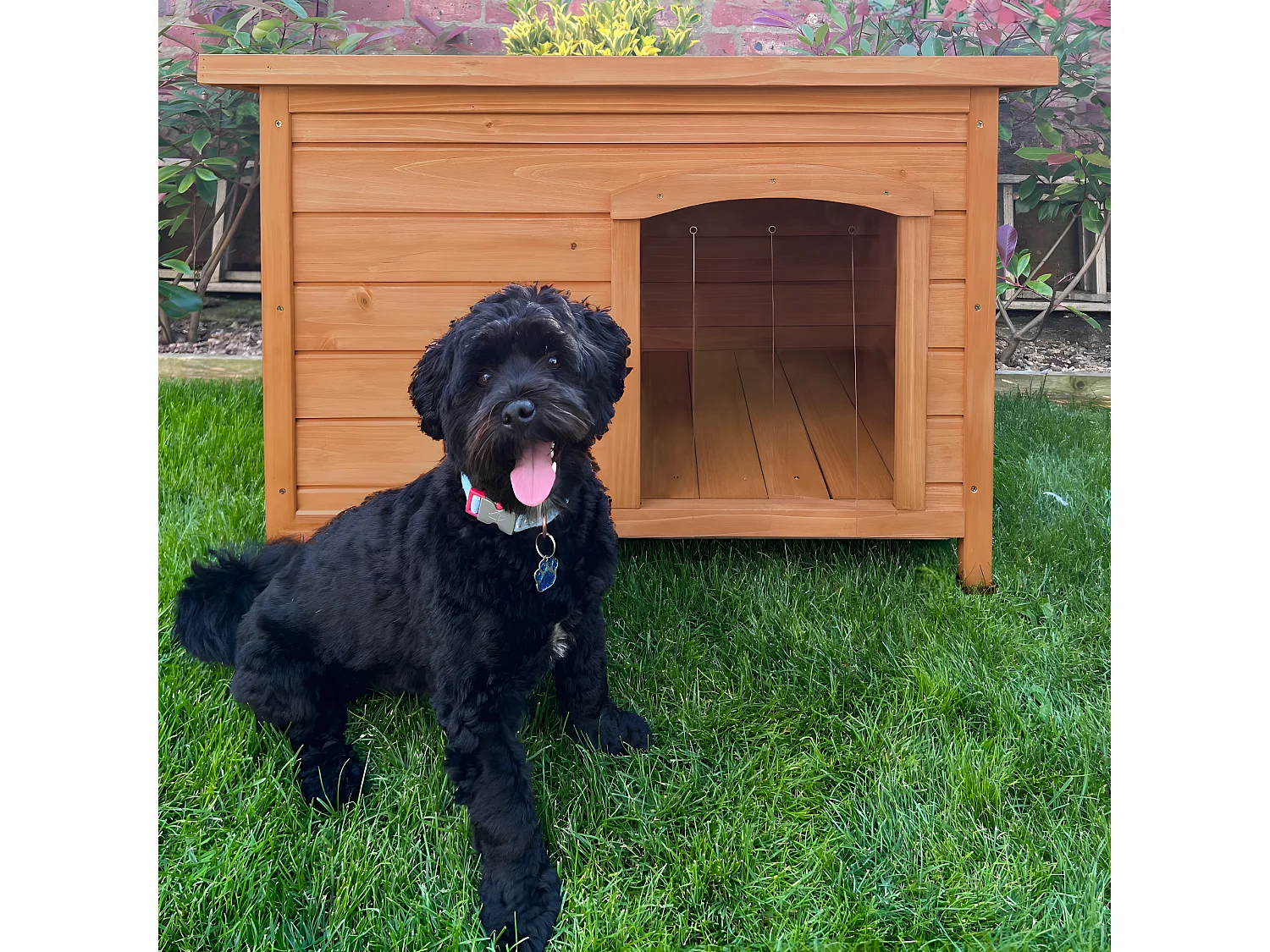 Niche pour chien de petite taille