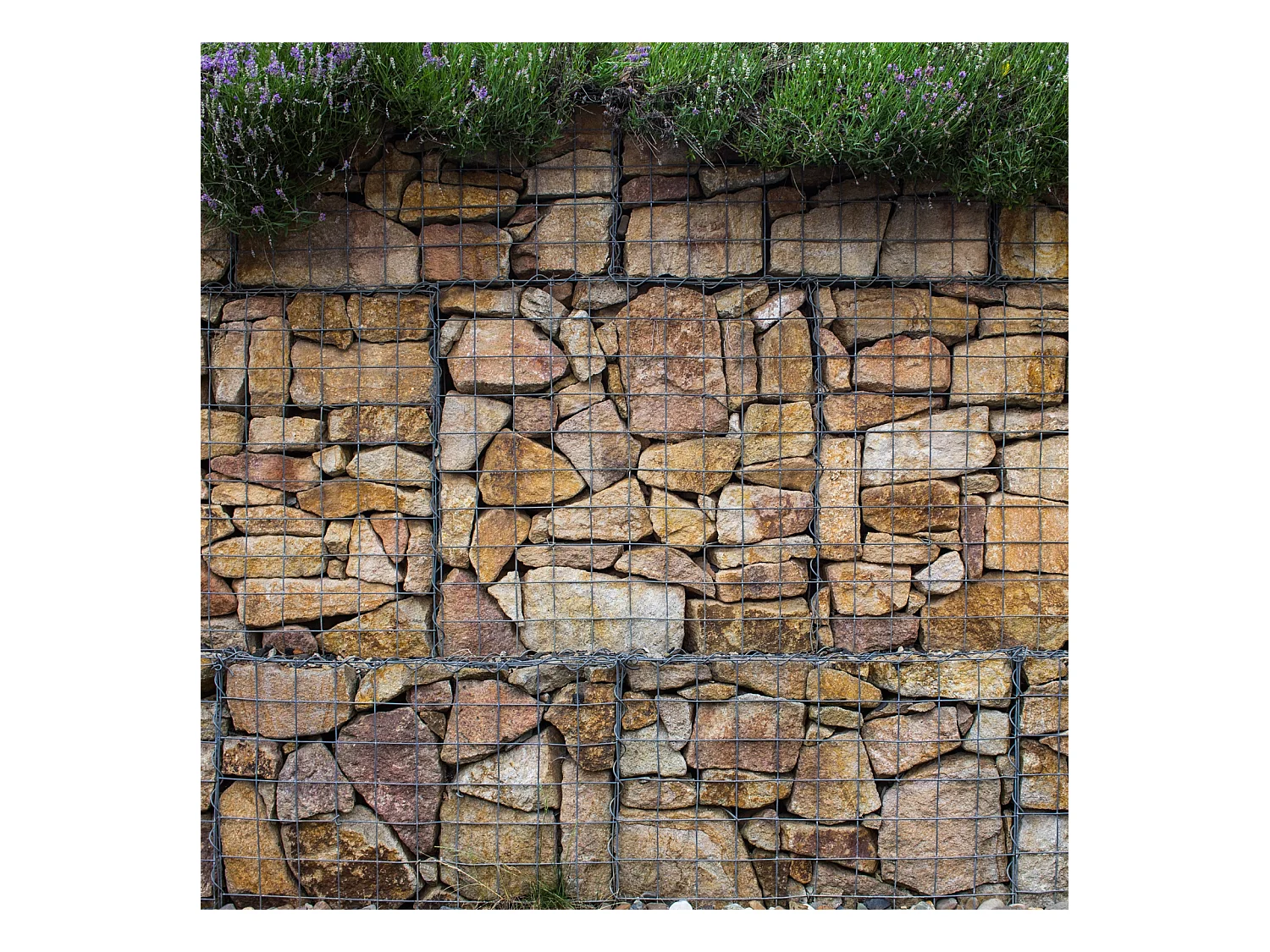 MonsterShop Lot de 6 Paniers de Gabions 100cm x 80cm x 30cm