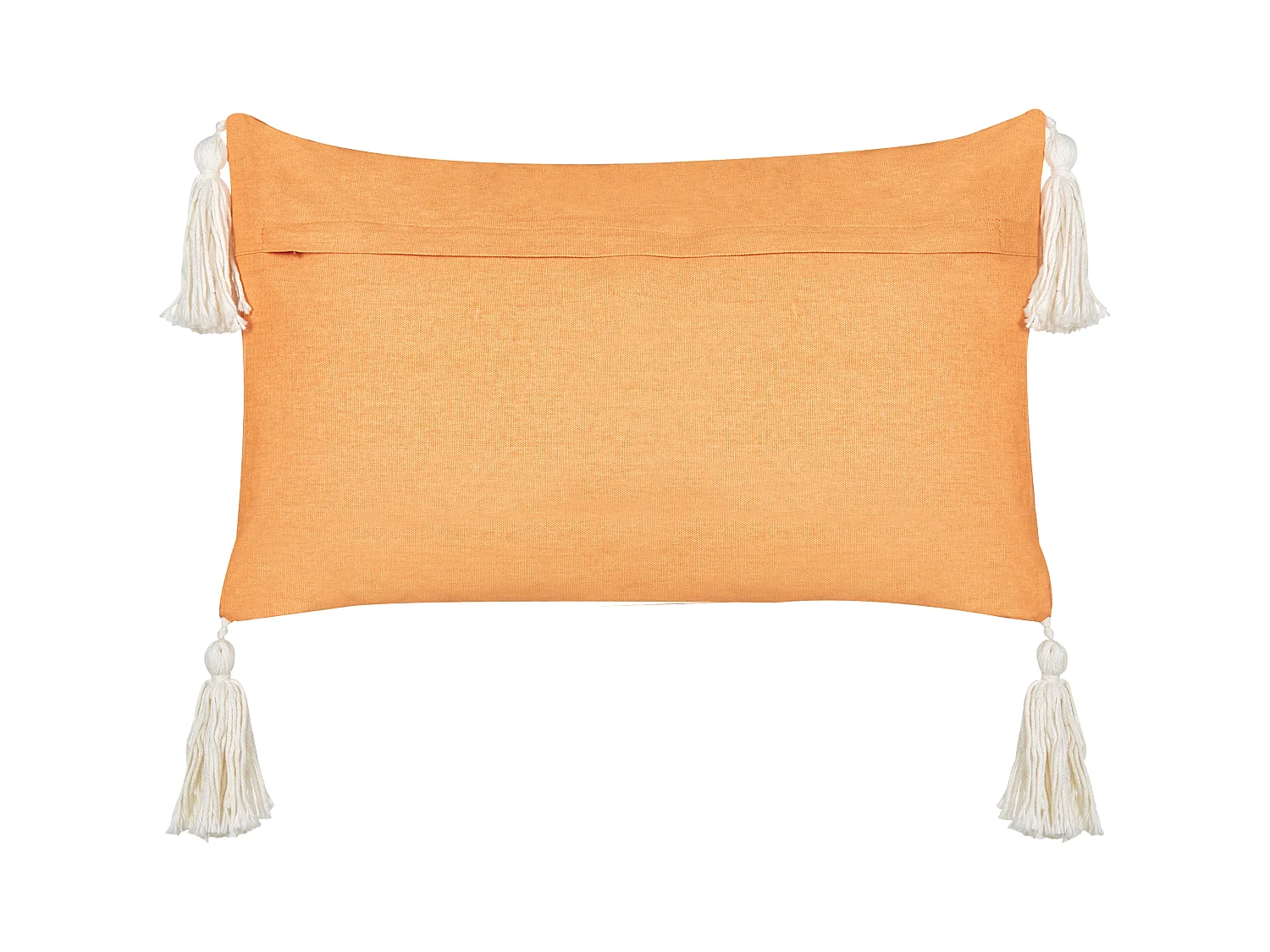 Coussin LITHOPS Velours 30 x 50 cm Orange Motif de Noël
