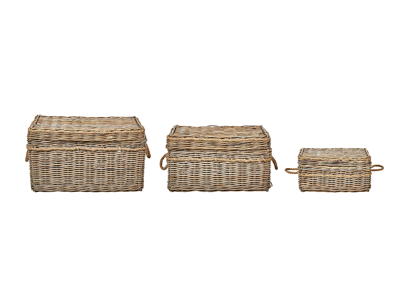 ELBE - Lot de 3 boîtes alimentaires - 1.2 L | Leroy Merlin