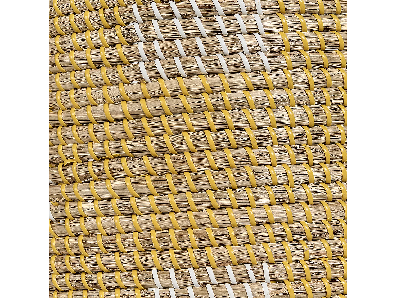 Mand MONGCAI Zeewier Natuurlijk