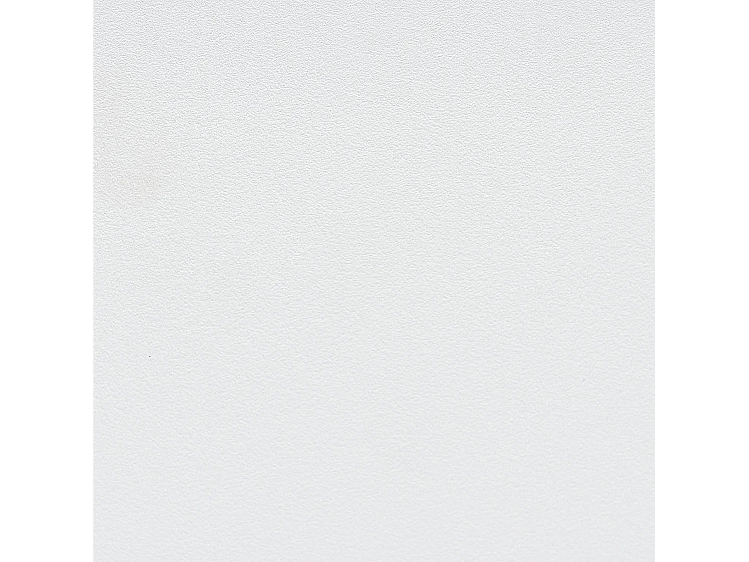 Esszimmerstühle 2er Set aus Kunststoff weiß / heller Holzfarbton modern Abilene