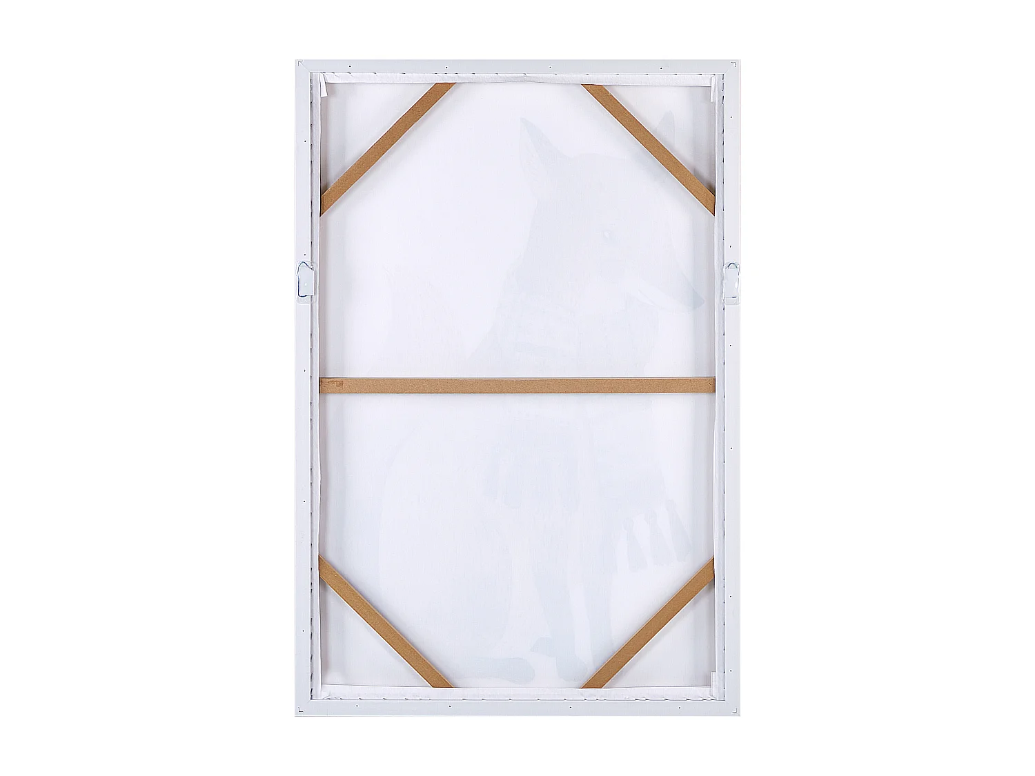 Canvas MUCCIA Tiermotiv 63 x 99 cm Braun