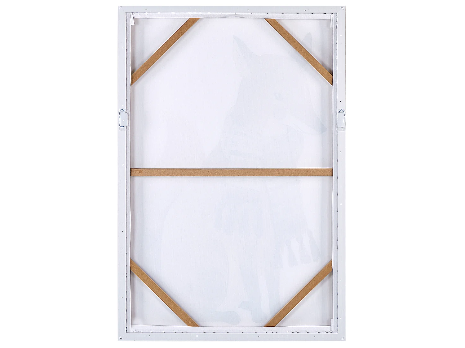 Obraz na płótnie MUCCIA Motyw zwierzęcy 63 x 99 cm Brązowy