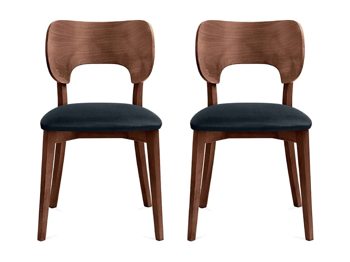 Esszimmerstühl (2er-Set) - marineblau / Walnuss mittel - LYCO