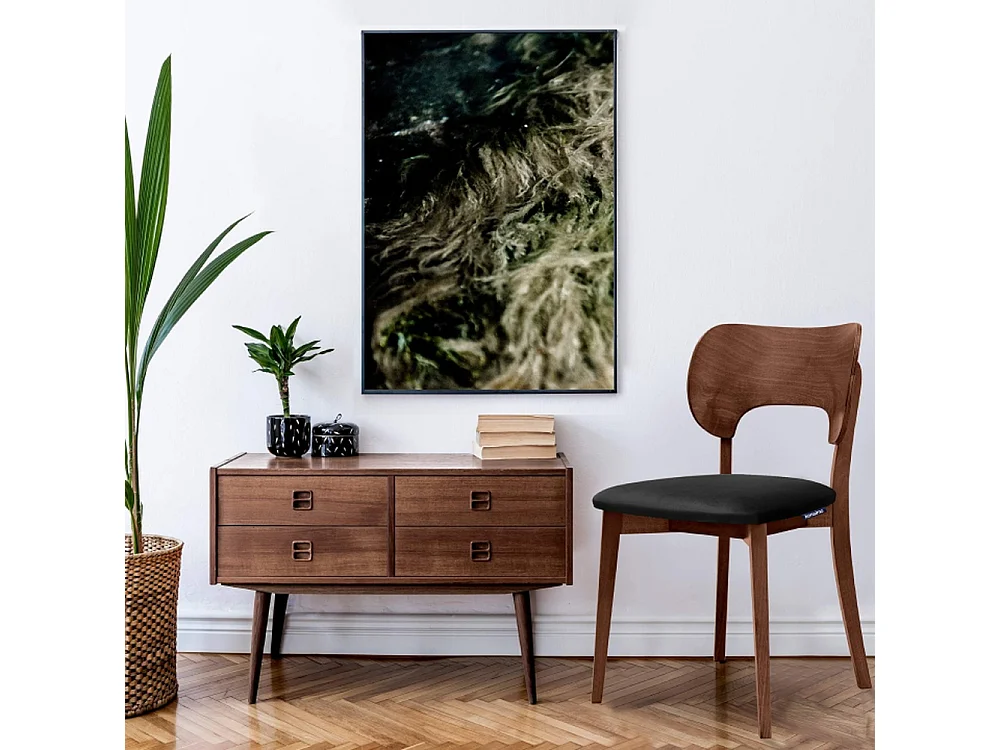 Esszimmerstühl (2er-Set) - schwarz / Walnuss mittel - LYCO