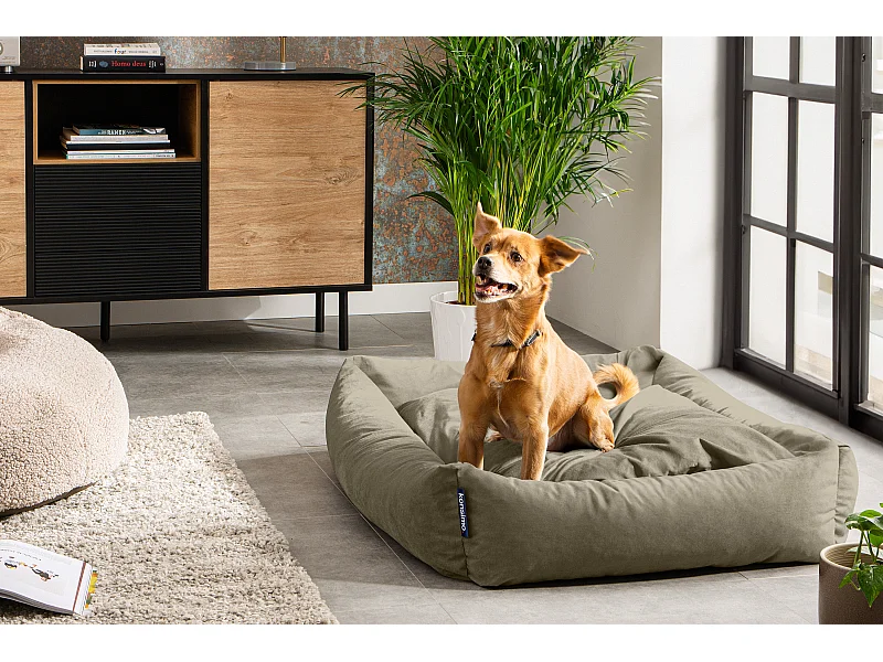 Hundebett - Beige - CANINI