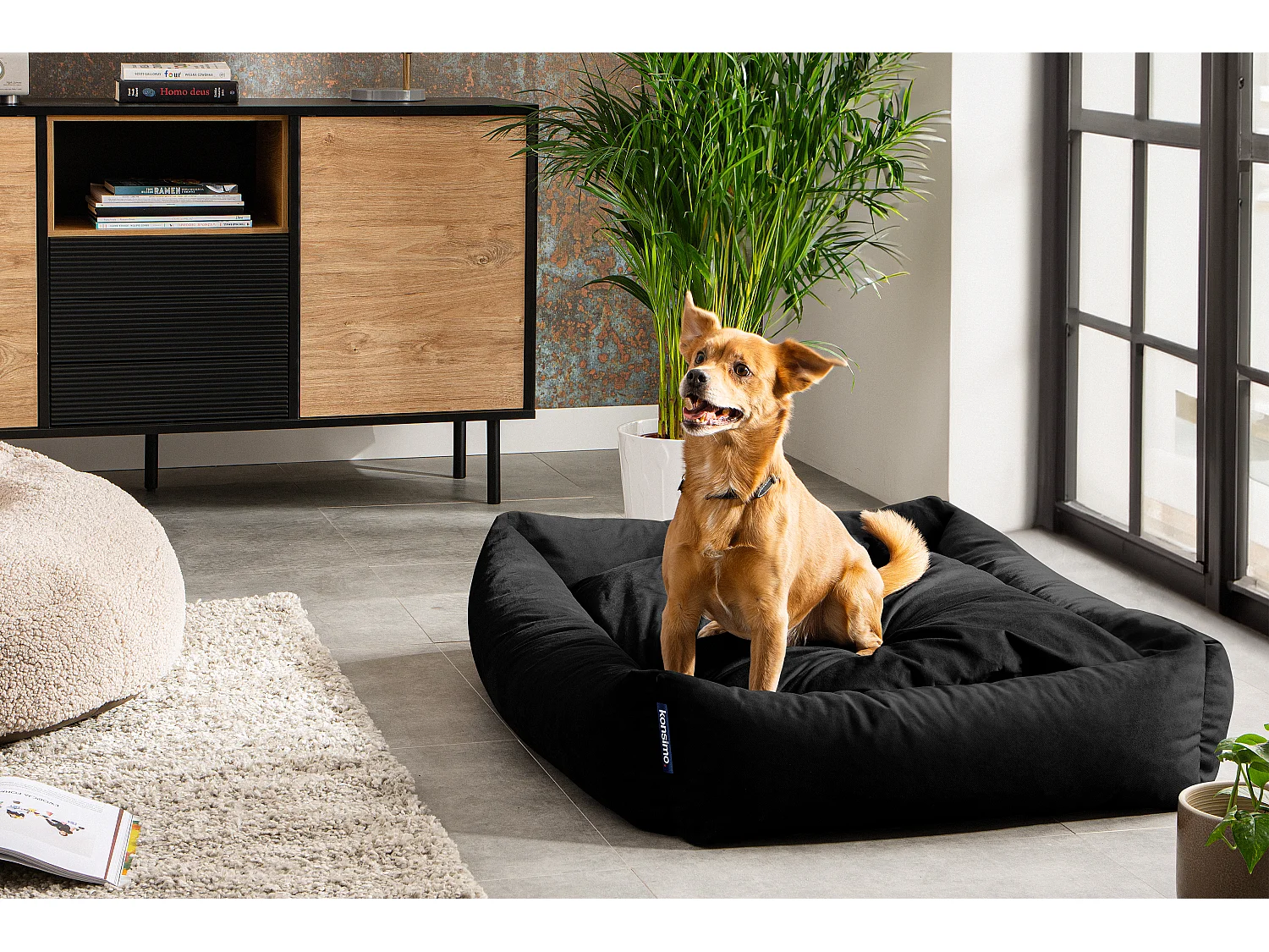 Hundebett - Schwarz - CANINI